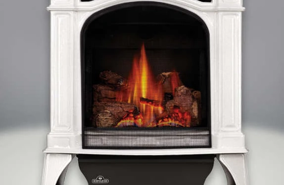 Direct Vent Gas Stove - Napoleon GDS25 Bayfield Direct Vent Gas Stove - Napoleon GDS25 Bayfield